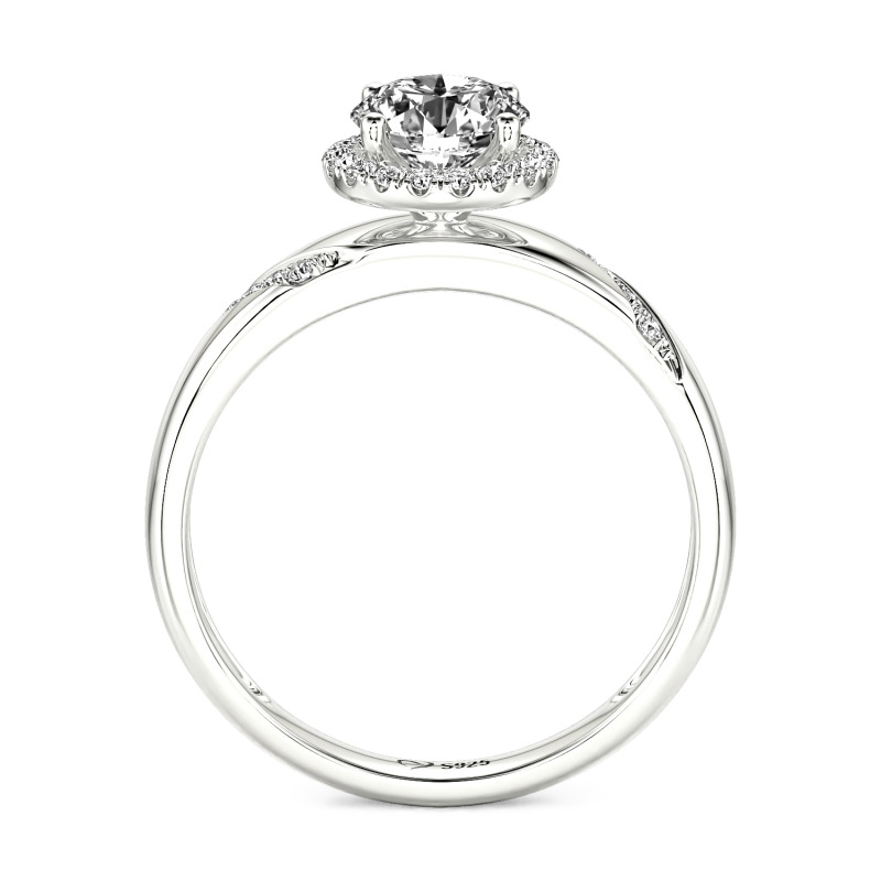 Jeulia Round Halo Lab Diamond Engagement Ring 10K/14K/18K Gold Platinum