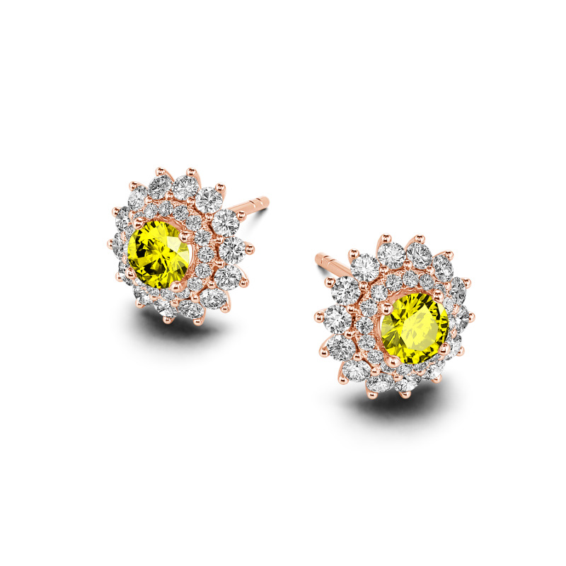 Jeulia 10K/14K/18K Gold Platinum Double Halo Round Cut Stud Earrings Jeulia 10K/14K/18K Gold Platinum Double Halo Round Cut Stud Earrings