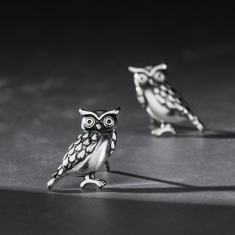 Jeulia "Wisdom Owl" Sterling Silver Earrings