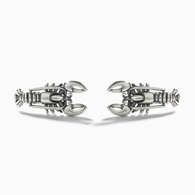 Jeulia Lobster Design Sterling Silver Earrings